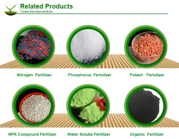 NPK Fertilizer From China Manufacturer 14-23-14 Compound Fertilizer for Fruits Vegetables